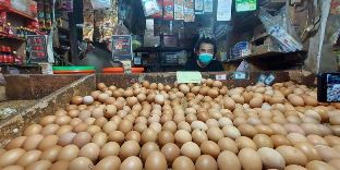 Harga telur ayam ras di Kota Pekanbaru semakin melambung selama dua pekan terakhir (foto/int)